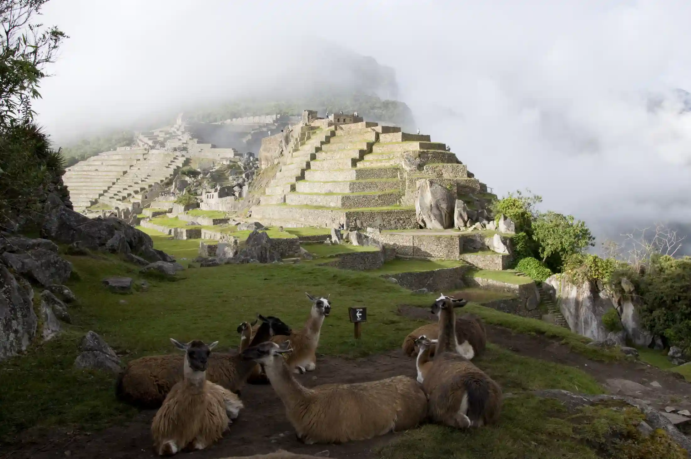 Classic Inca Trail to Machu Picchu 4 Days