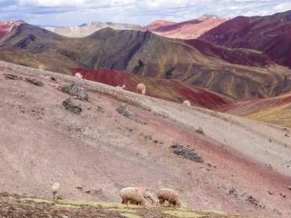 Rainbow Mountain ATV Tour from Cusco thumbnail 2