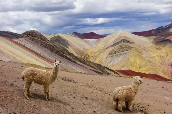 Rainbow Mountain ATV Tour from Cusco